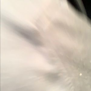 Meet your Posher, Cody